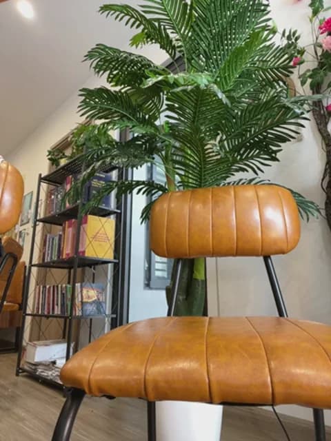 Clinic_Sexy from Stripchat - Mar 24, 2026 06:41 - 52 min