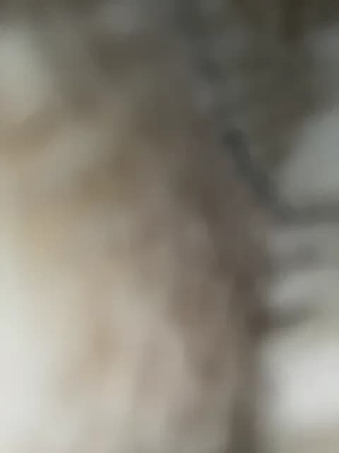 KARASEVDAKINOGO from BongaCams - Feb 4, 2026 10:25 - 78 min