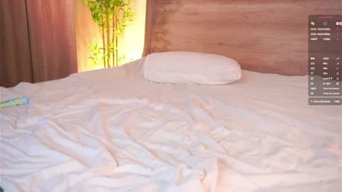 LolySun from Stripchat - Jan 14, 2026 23:01 - 73 min