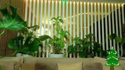 MiaLiaHot from BongaCams - Jan 8, 2026 09:11 - 98 min