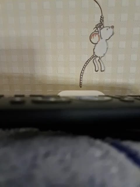 SweetPraGG from BongaCams - Feb 2, 2026 23:09 - 36 min