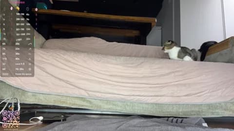 SweetSakuraJane from Stripchat - Apr 1, 2026 02:33 - 83 min