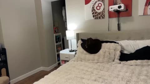 camilaaa15 from Chaturbate - Jan 11, 2026 04:06 - 50 min