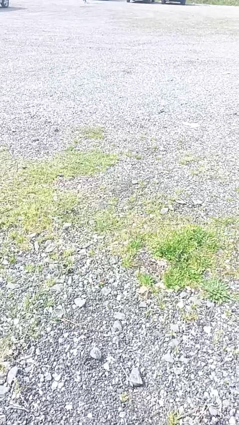 livenews1 from Cam4 - Mar 15, 2026 11:39 - 48 min