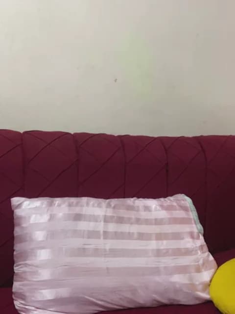 mari_layali from Stripchat - Apr 2, 2026 02:20 - 38 min