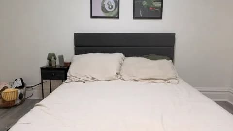 scarletterose_504259 from Chaturbate - Jan 17, 2026 02:02 - 120 min